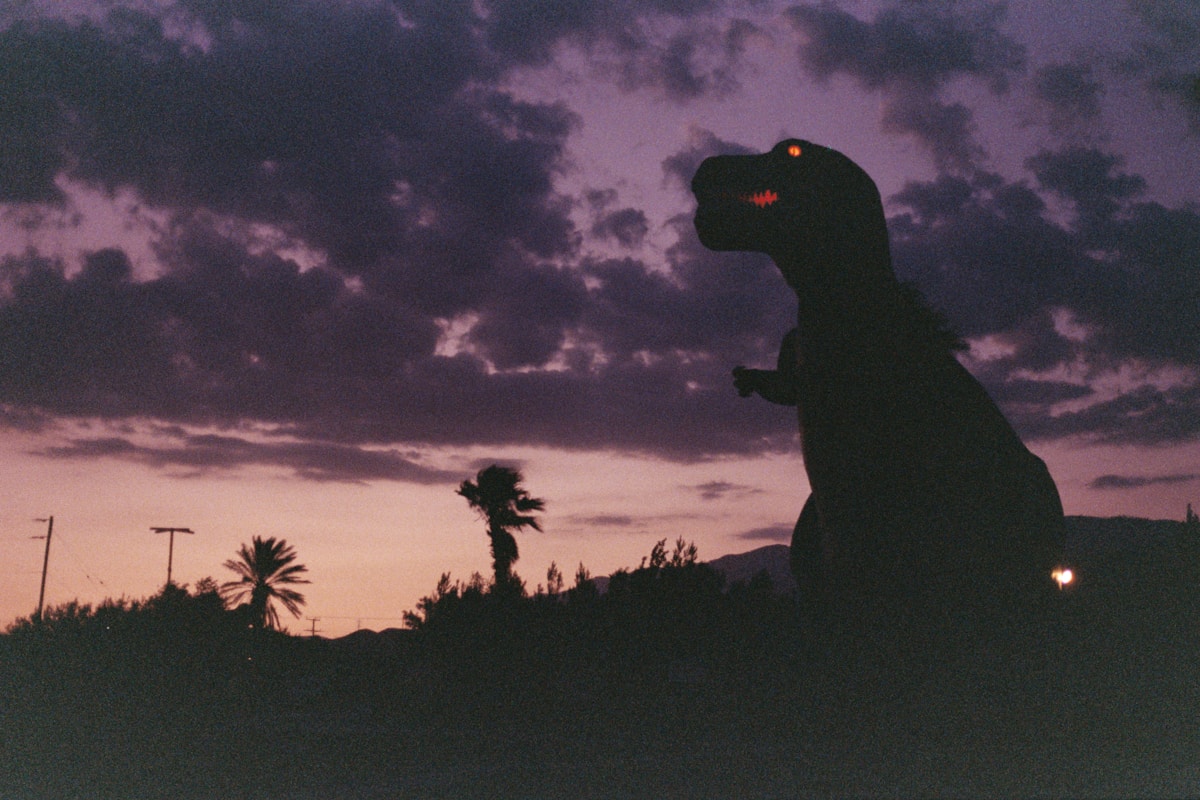 We Finally Know Exactly Where the Dinosaur-Killing Space Rock Came From!