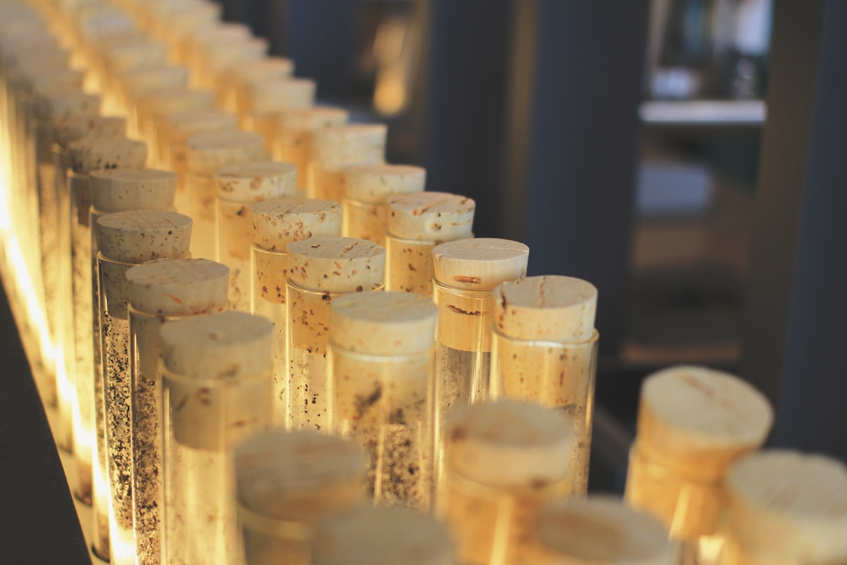 A Tiny Universe in a Glass Bottle Reveals Secrets of How Life Began!