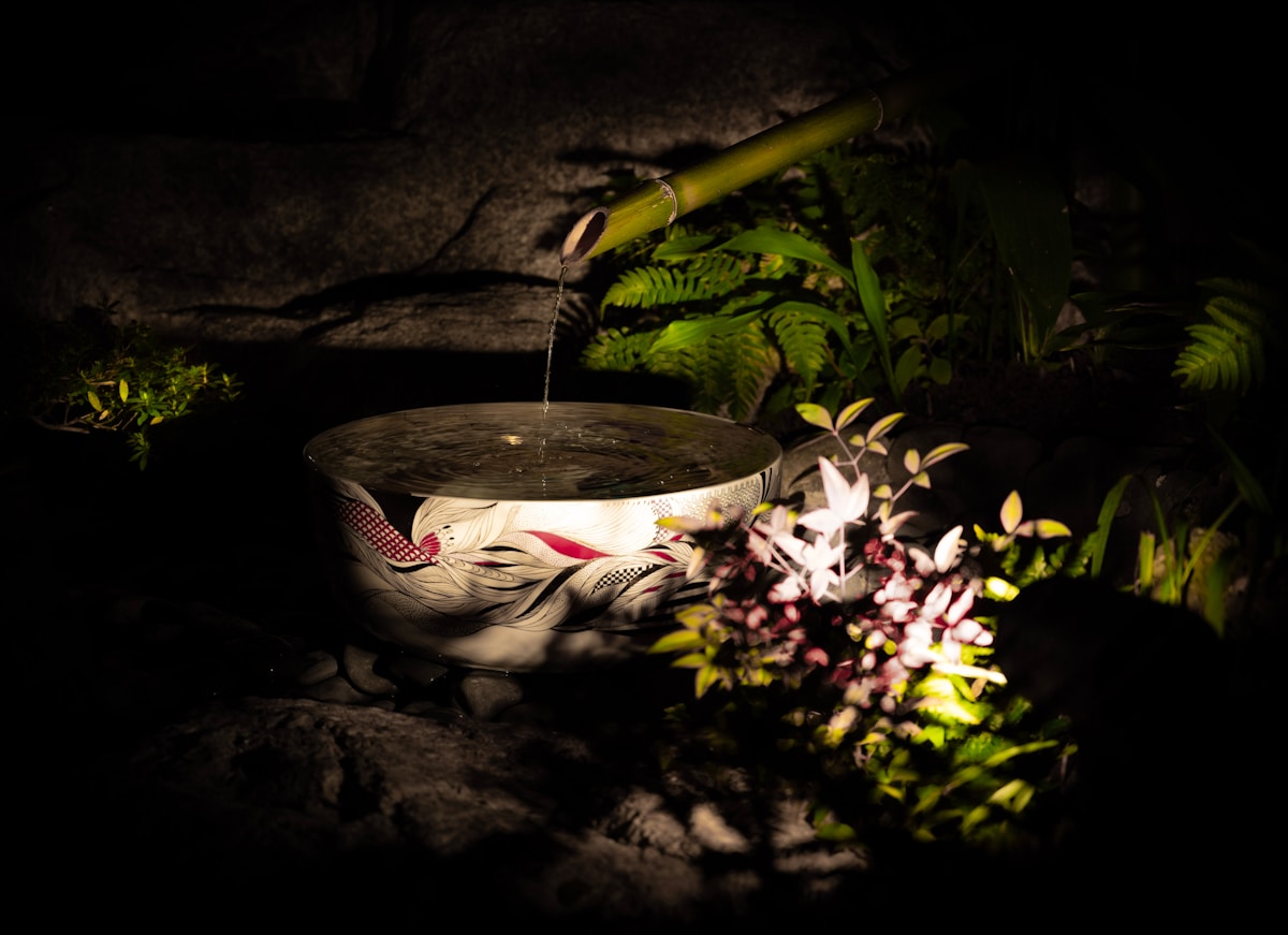 Be a Backyard Hero and Help Thirsty Wildlife Beat the Heat!