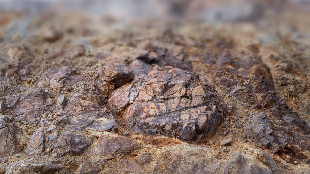 A Fierce Ancient Predator Just Jumped Out of a Forgotten Fossil Box!