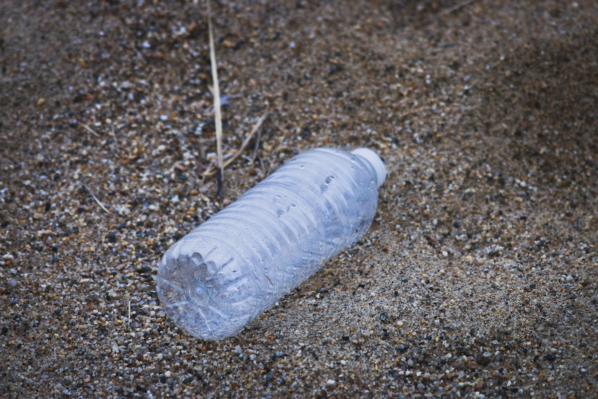 Meet the Amazing Siblings Turning Ocean Plastic Into Awesome New Treasures!