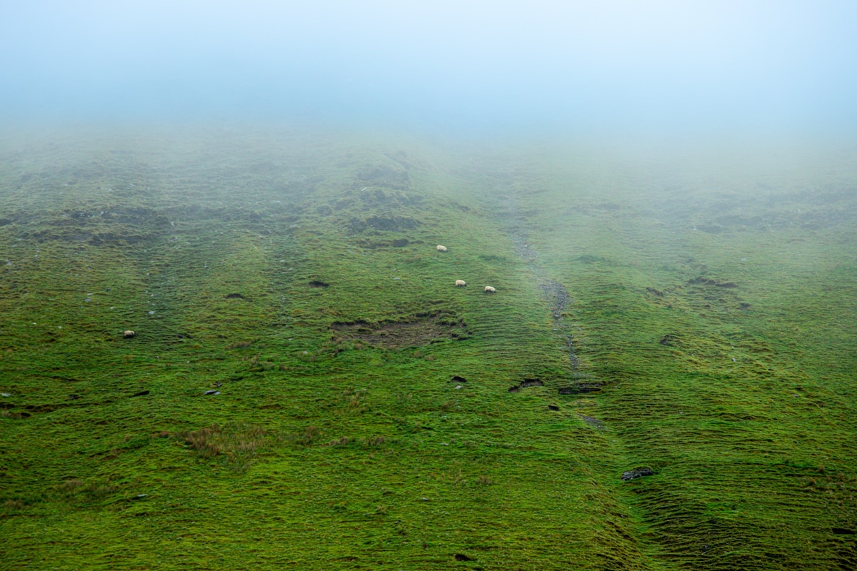 Floating Clouds of Fog Are Alive With Tiny Monsters!