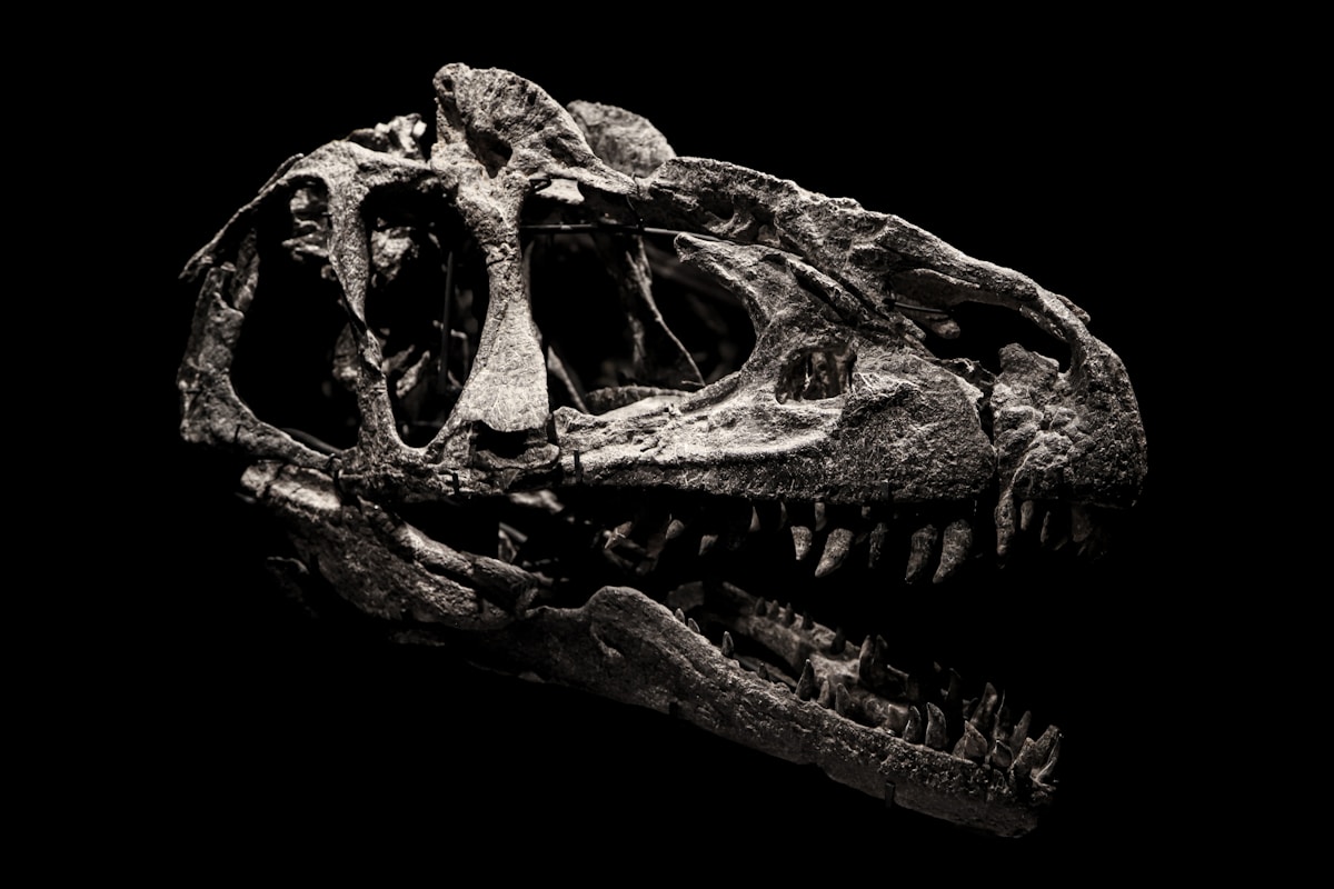Secrets Written in Bone Reveal the Feeding Habits of the Mighty T. Rex!