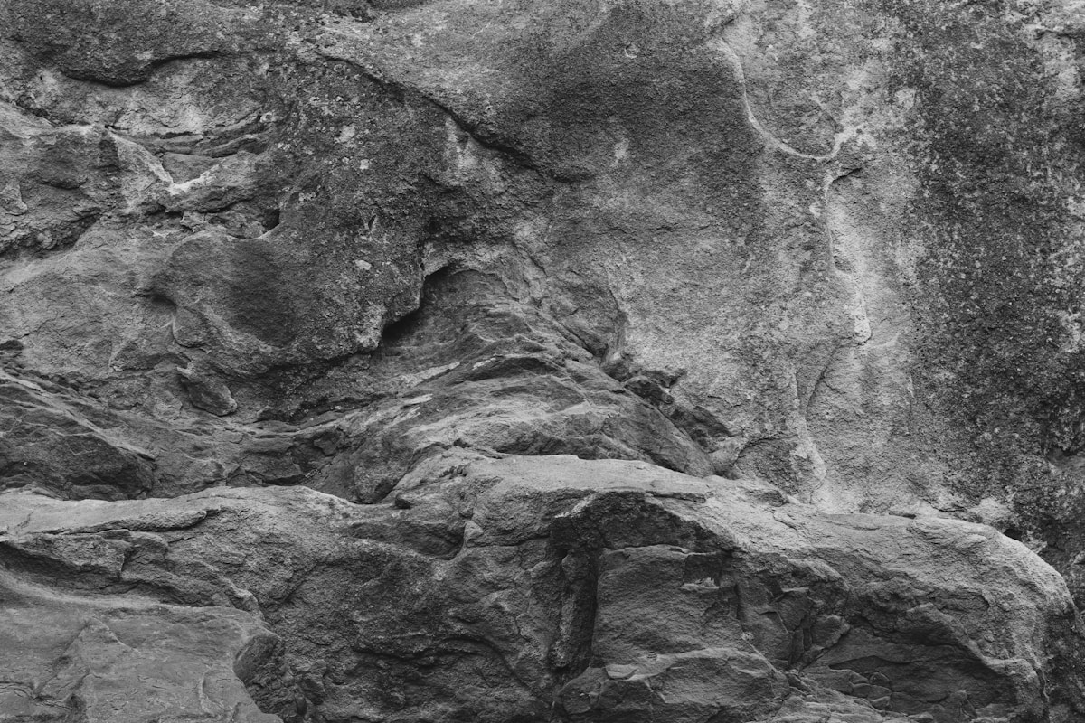 Hidden Deep in the Ocean, 567-Million-Year-Old Animal Fossils Just Rewrote Histo