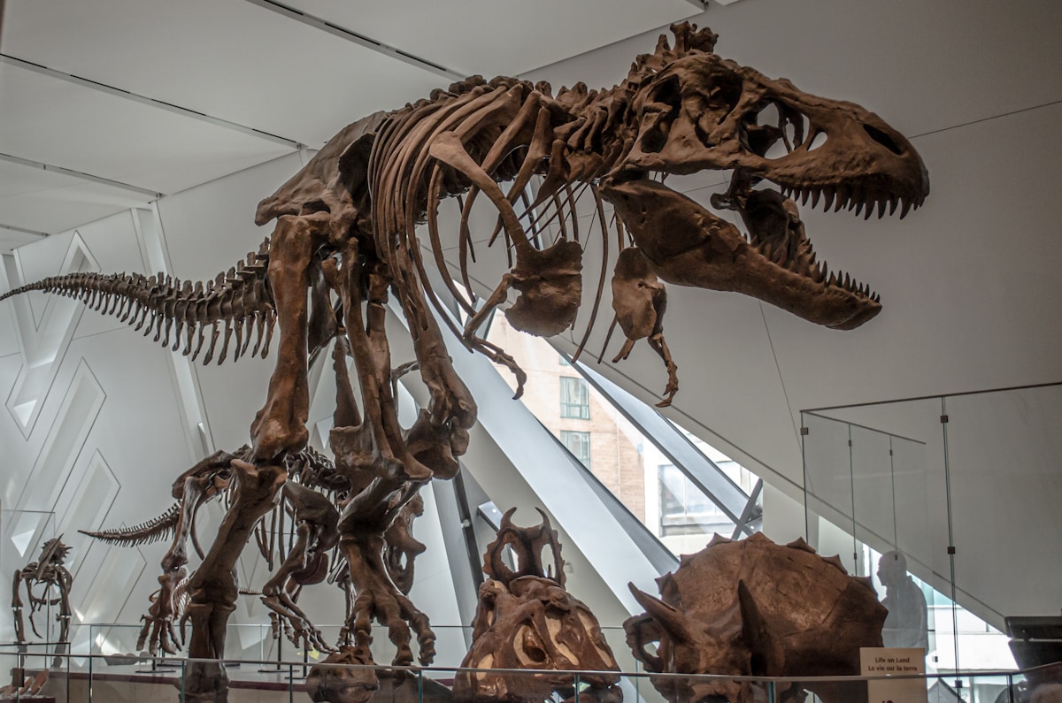 Why Dinosaurs Never Shrank to the Size of a Mouse!