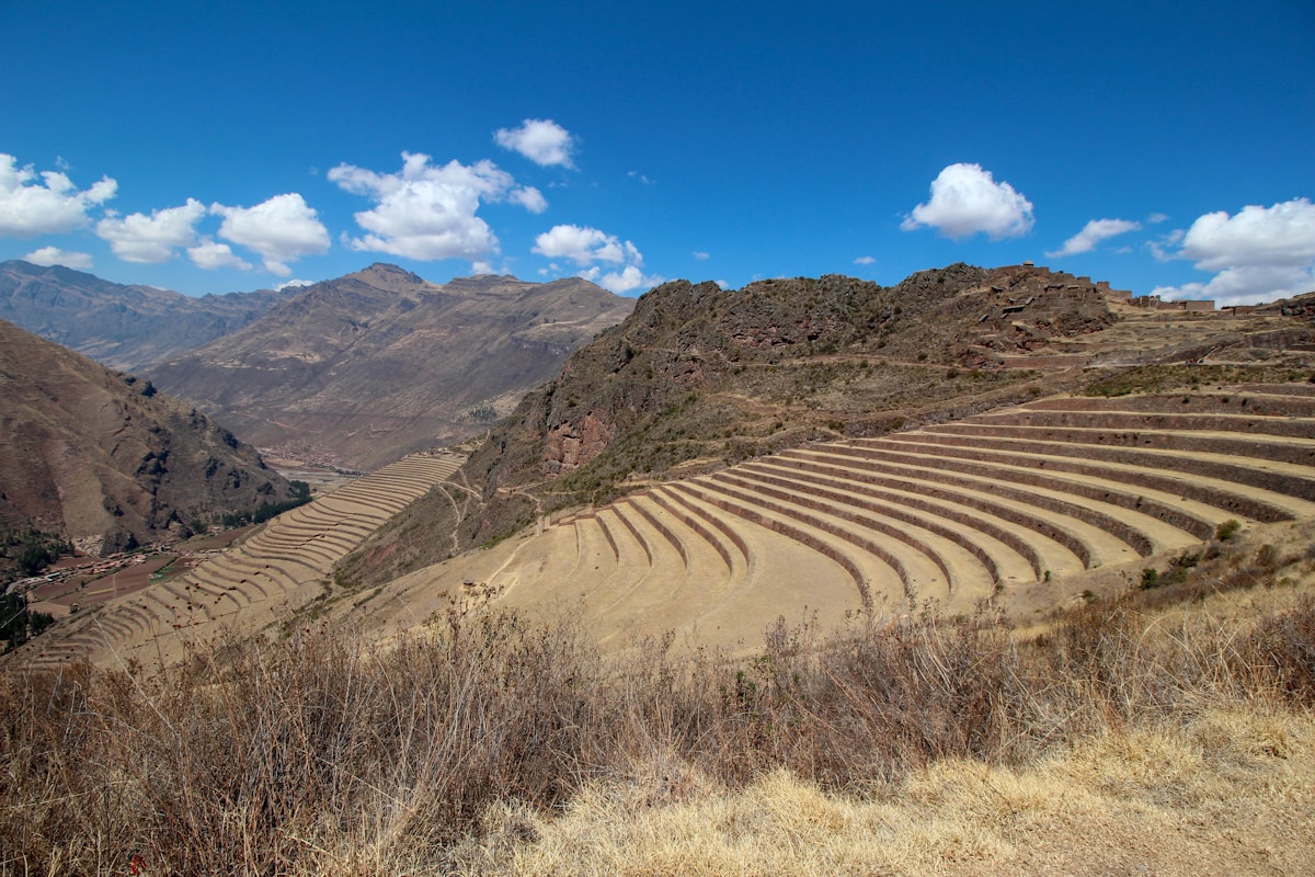 Ancient Potatoes Gave People in Peru a Digesting Superpower!