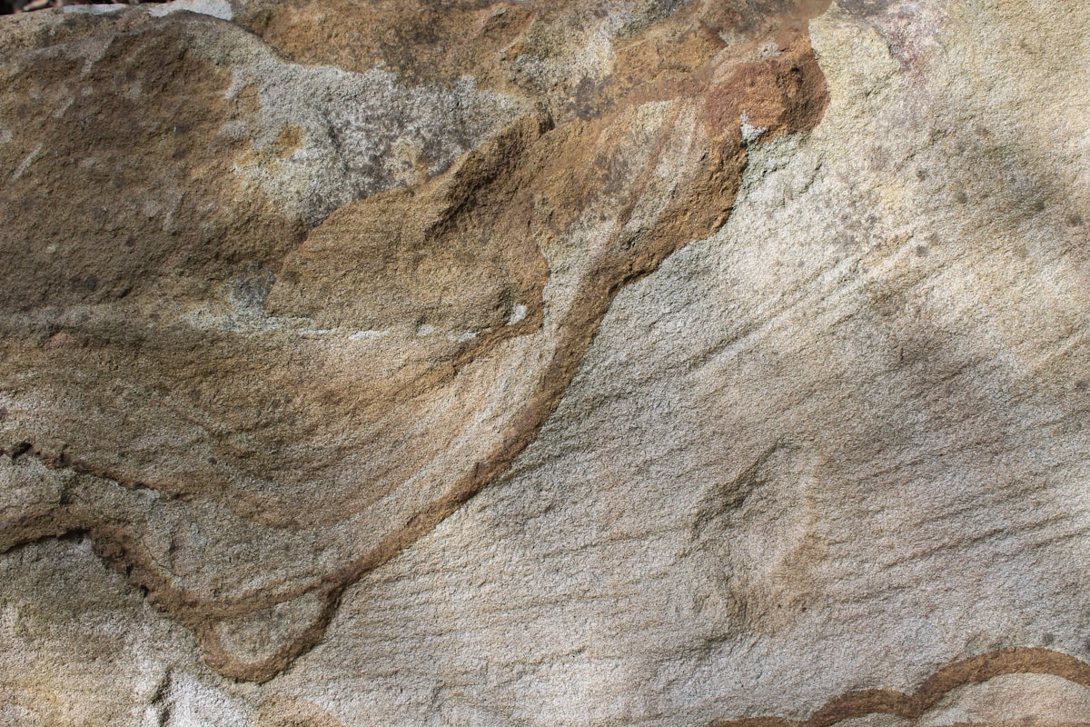 Hidden Inside Ancient Rocks: The Tiny Fossils That Explain How We Got Here!