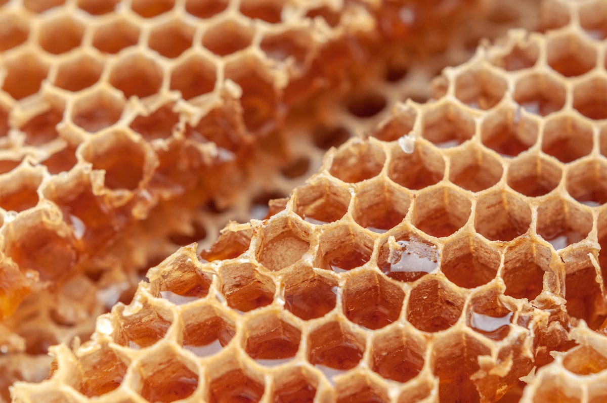 A Secret Wax Is the Surprise Ingredient for Making Queen Bees!