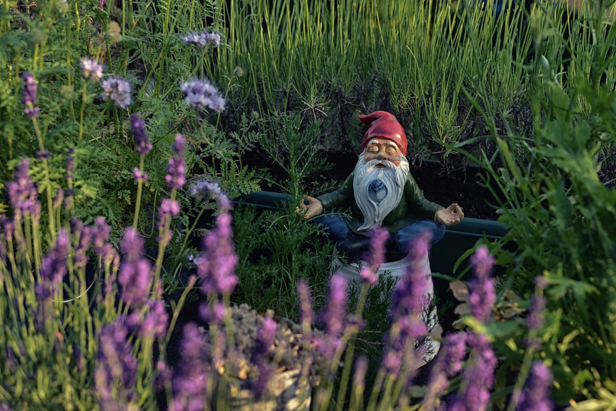 Step Inside the Magical Hospital Saving Injured Garden Gnomes!