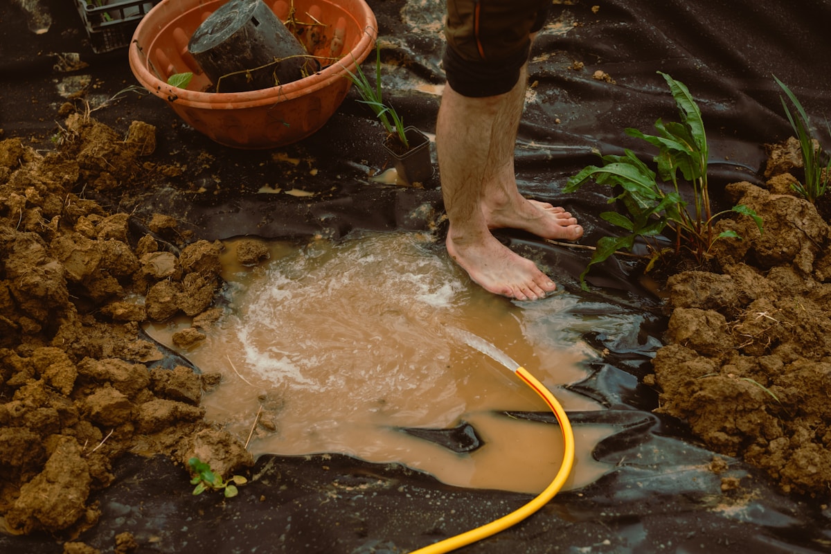 Hundreds of People Just Buried Their Underwear in the Dirt!