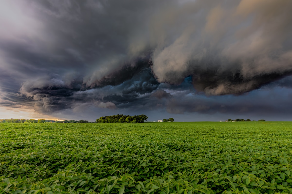 Your Name Could Be Used to Name a Giant Storm!