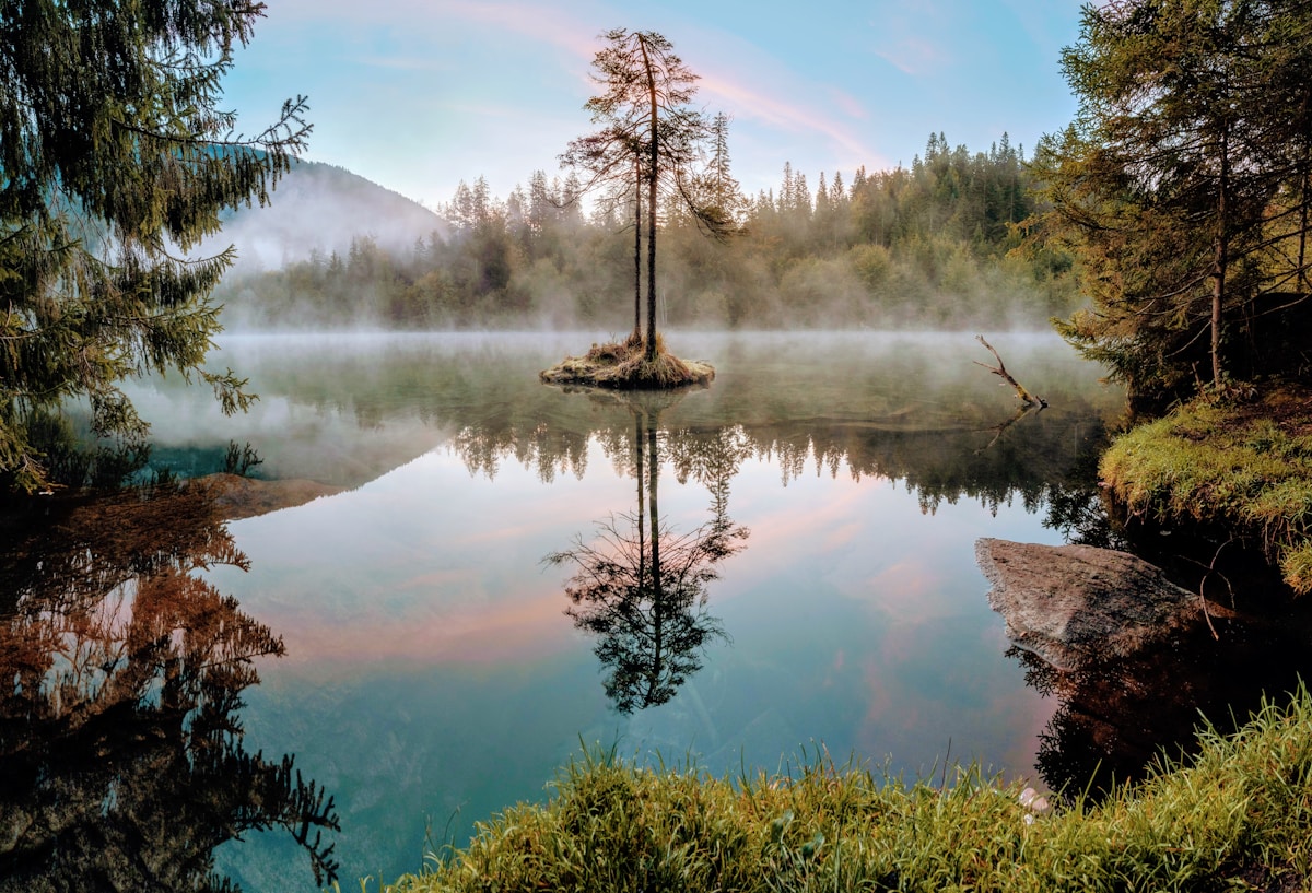 A Magical Floating Island Just Reappeared in a Canadian Lake!