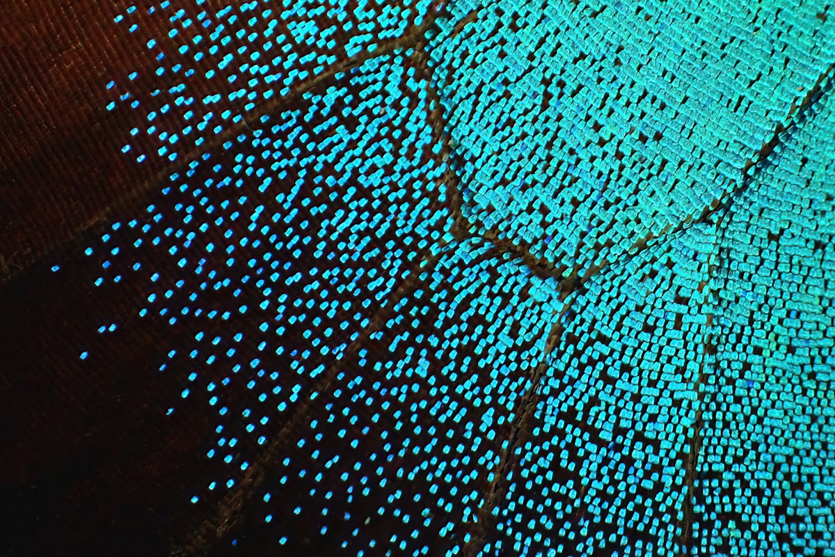 Microscopic Bugs Turned Into Tiny Living Computers!
