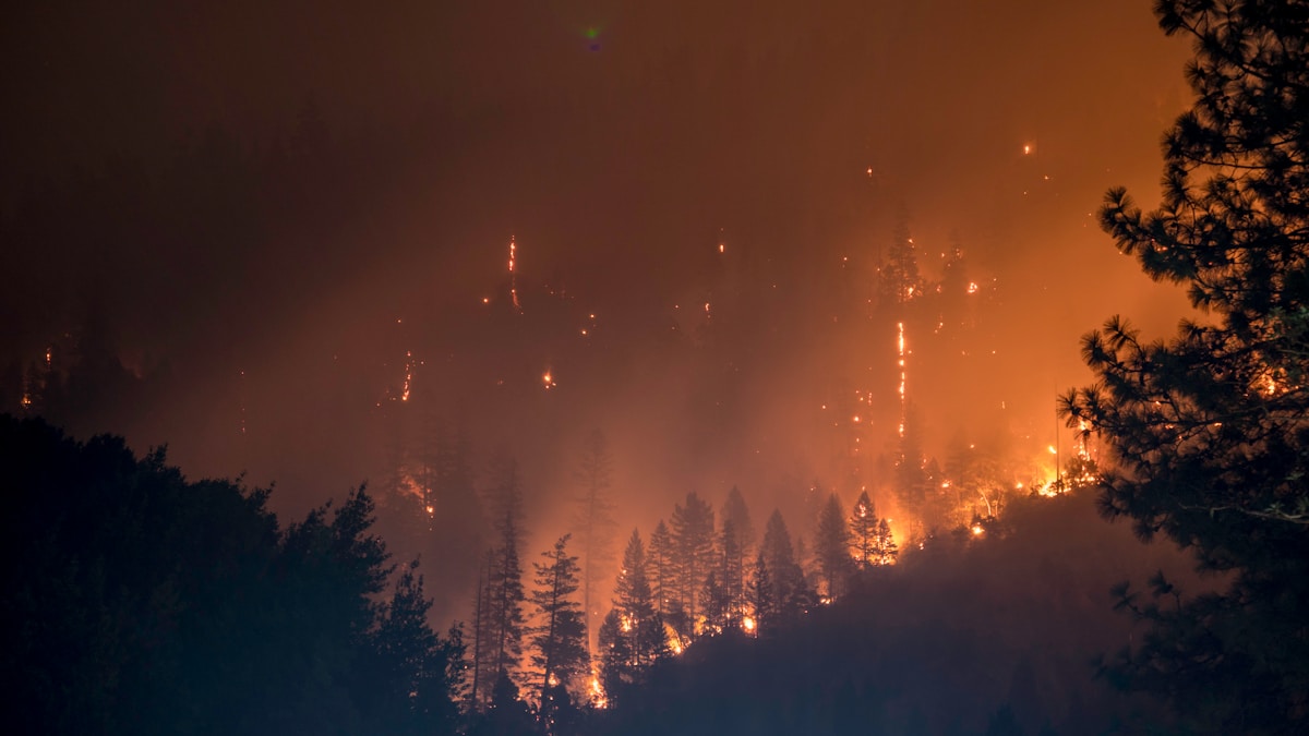 Listen Closely! Wildfires Have a Secret Low Rumble That We Can Finally Hear