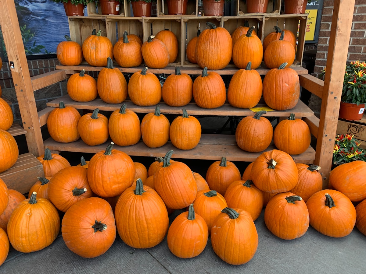 Halloween is Already Creeping Into Shops in September!
