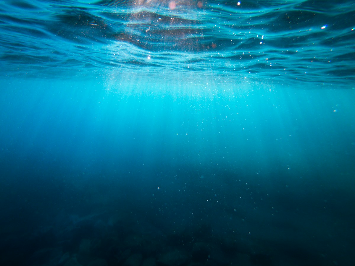 Bubbles from the Deep! Why the Ocean Floor is Having a Giant Burp