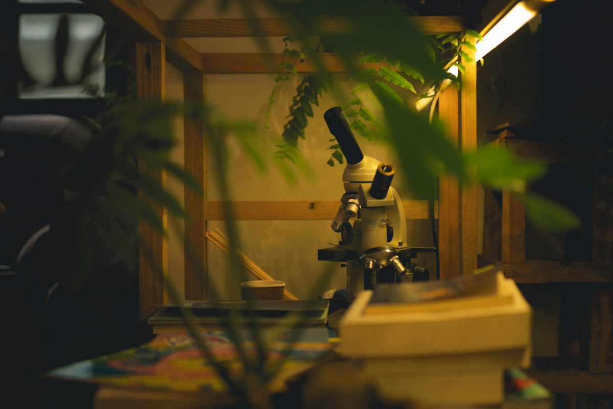 A Super-Powered Quantum Microscope is Coming to Reveal the Invisible World!