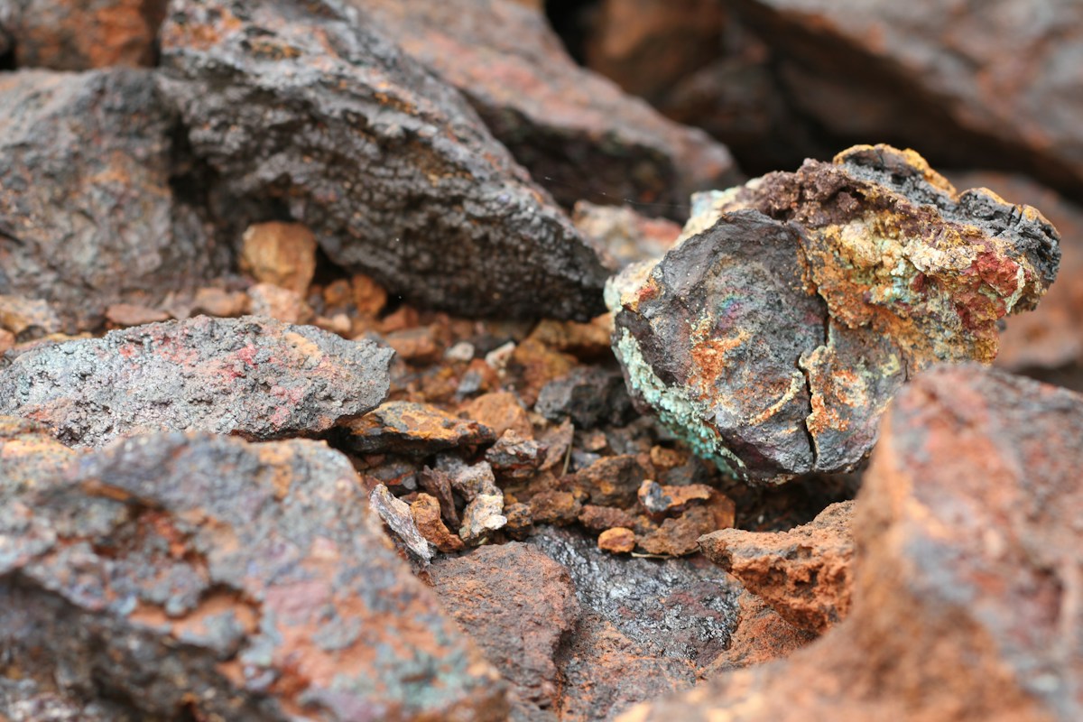 Fossilized Dino Poo Holds the Secret to Why Ancient Birds Vanished!