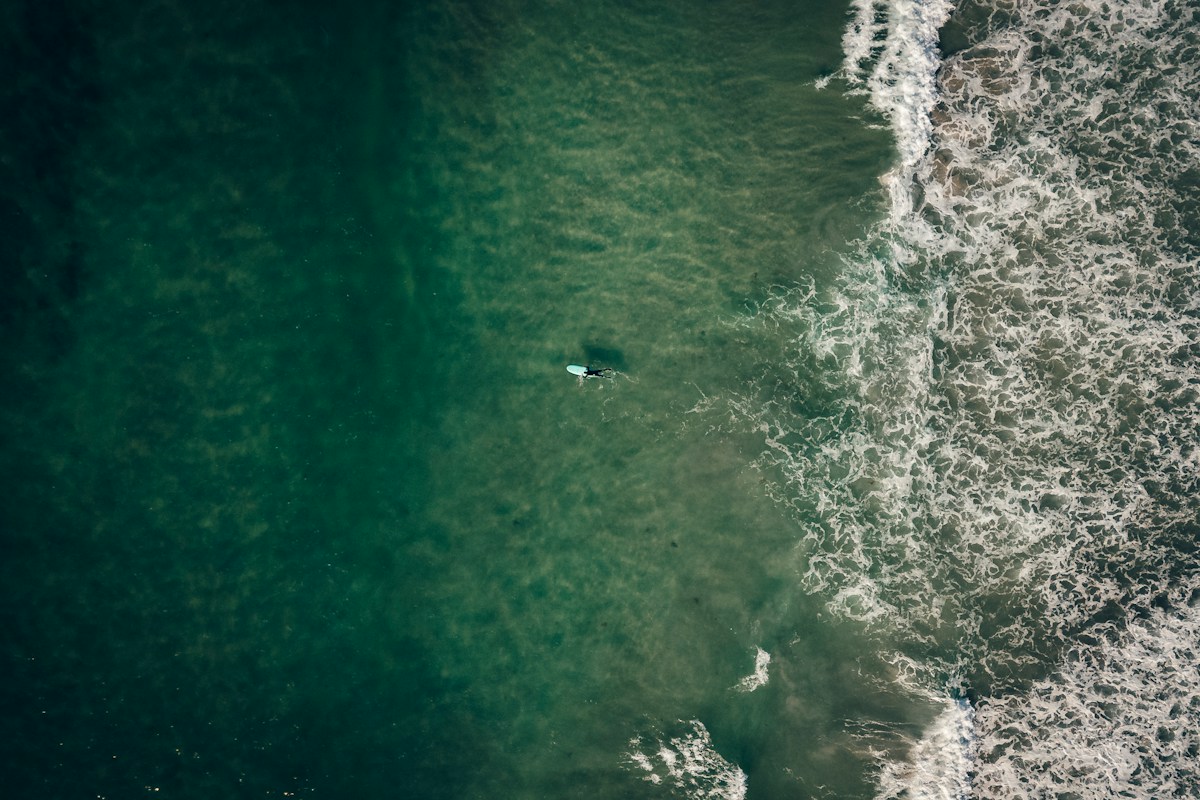 Secret Sharks Are Swimming Right Off the British Coast!