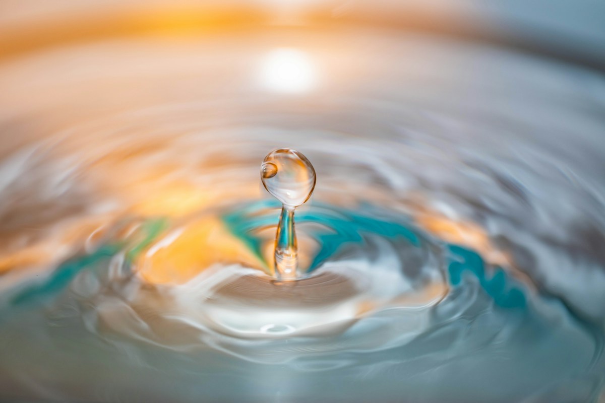 A Peek Inside the Secret World of Microscopic Creatures!