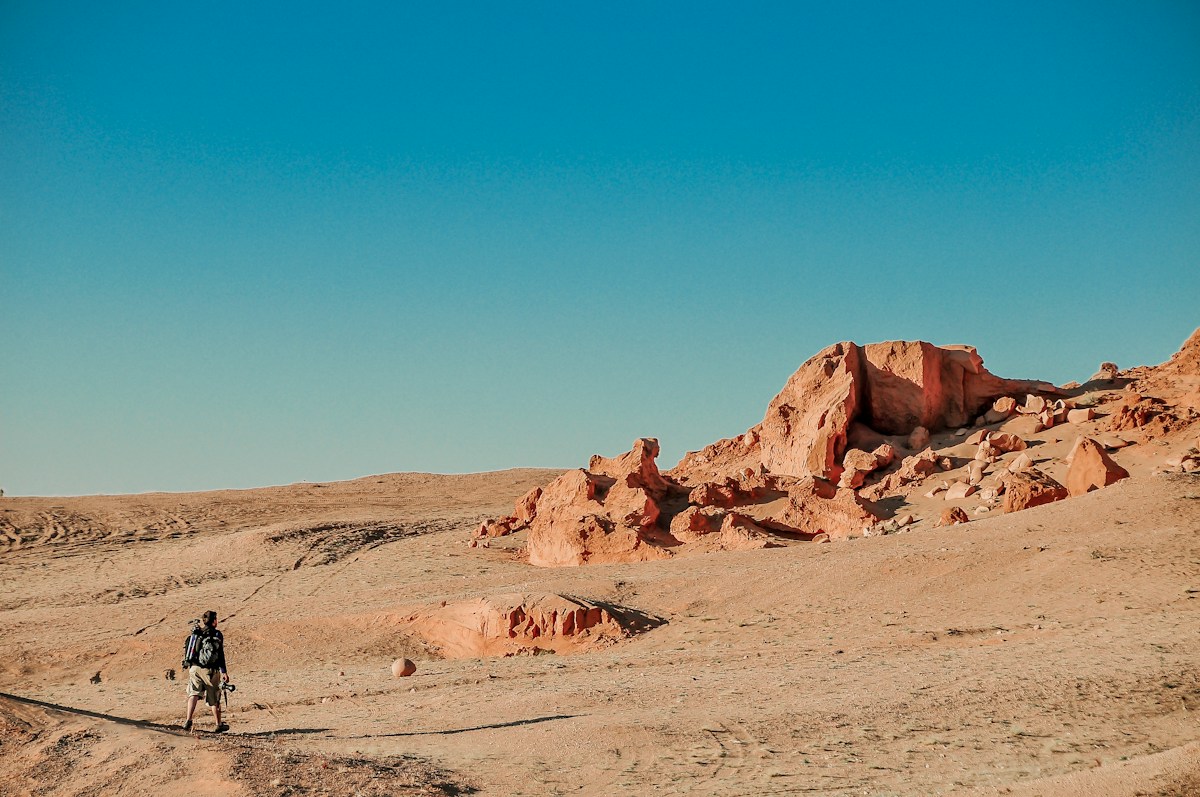 A Tiny Fossil From the Gobi Desert Just Solved a 40-Year Mystery!
