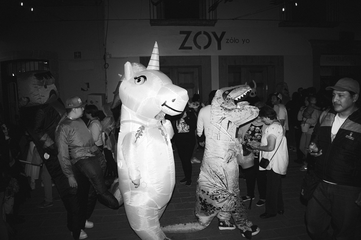 Strictly Stars Transform Into Zootropolis Animals for Movie Week!