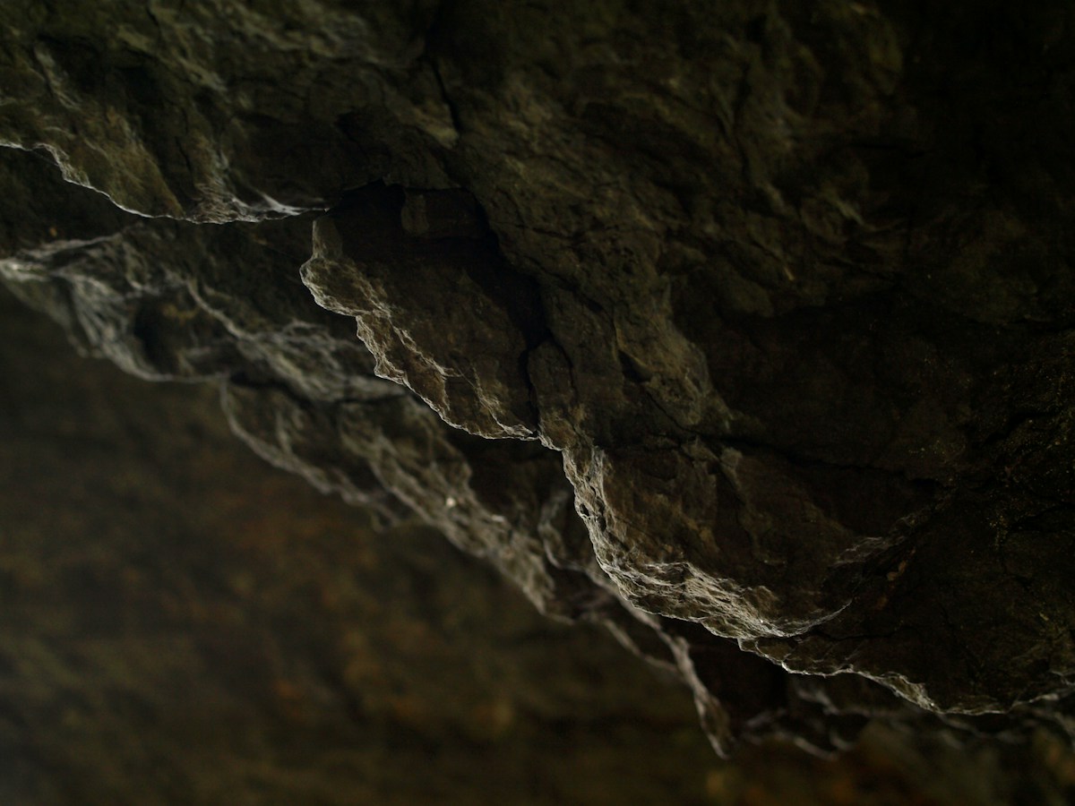 Inside the South African Cave Where Our Ancient Relatives Just Rewrote History!