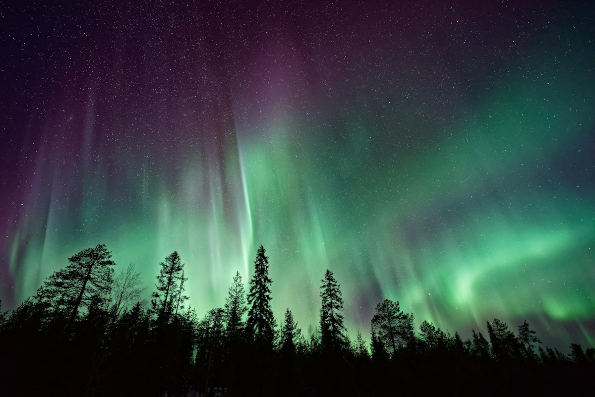 A Magical Cosmic Light Show Just Painted the Whole Sky!
