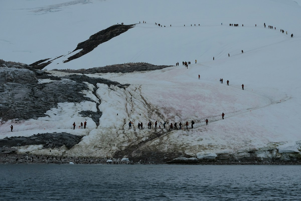 A Blood-Red Waterfall Is Flowing Out of a Glacier in Antarctica!