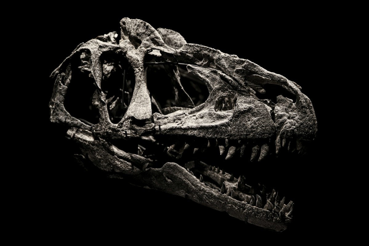 A Terrifying New Dinosaur Was Even Deadlier Than T. Rex!